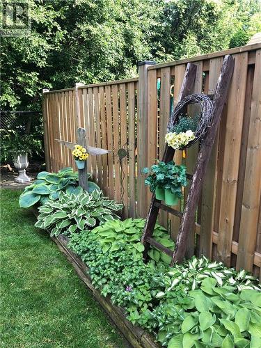 View of yard - 18 Webster Way, Georgetown, ON - Outdoor