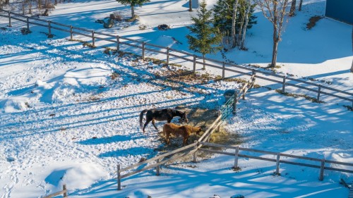 Other - 306Z Rue Ganivet, Rigaud, QC 