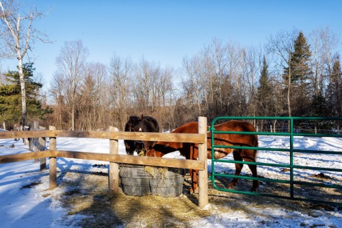 Other - 306Z Rue Ganivet, Rigaud, QC 