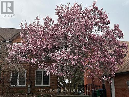 4279 Bridlepath Trail, Mississauga, ON - Outdoor