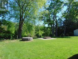 Spacious Front Yard - 