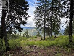 Lot 2 Hulme Creek Road Rock Creek, BC V0H 1Y0