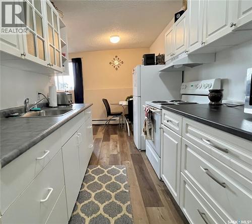 101 502 5Th Avenue, Weyburn, SK - Indoor Photo Showing Kitchen With Double Sink