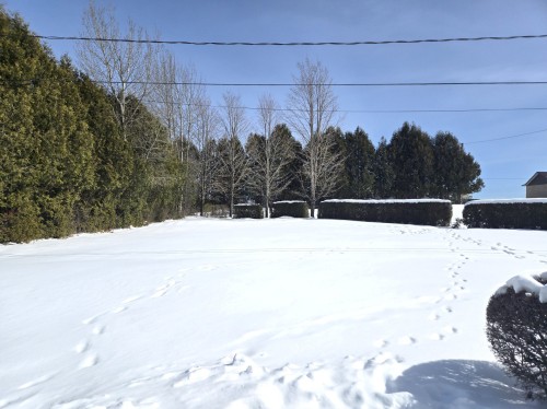 Cour - 532 18E Rue E., La Guadeloupe, QC - Outdoor