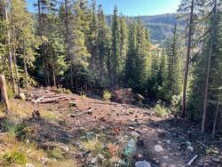 Lot 122 WAPITI CREEK Road Oliver, BC V0H 1T8