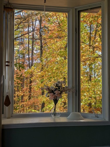 Boisé - 908 Rue Raymond-Pilon, Saint-Jérôme, QC - Indoor Photo Showing Other Room