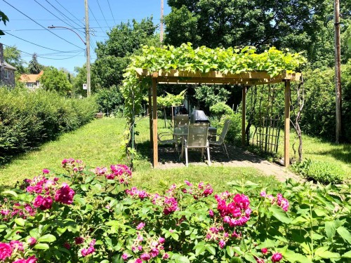 Jardin - 1-10497 Boul. St-Laurent, Montréal (Ahuntsic-Cartierville), QC - Outdoor