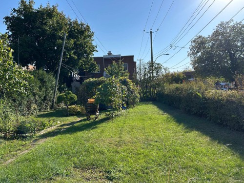 Jardin - 1-10497 Boul. St-Laurent, Montréal (Ahuntsic-Cartierville), QC - Outdoor