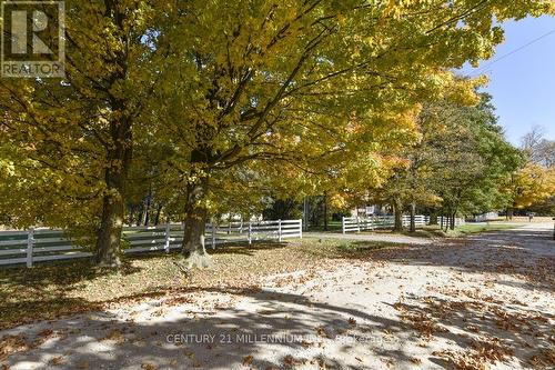 287199 10 Sideroad, Mono, ON - Outdoor With View
