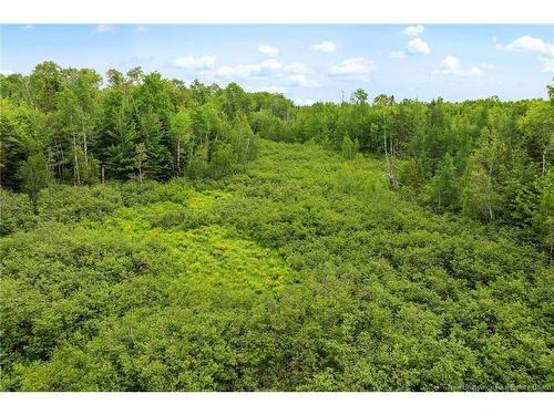 / Bronson Rd, Chipman, NB 