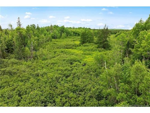 / Bronson Rd, Chipman, NB 