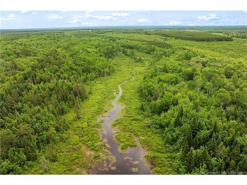 / Bronson Rd, Chipman, NB 