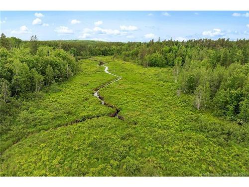/ Bronson Rd, Chipman, NB 