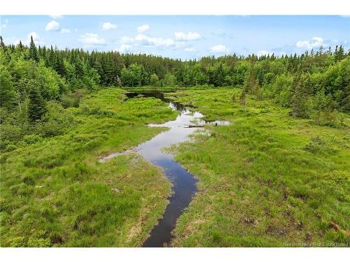 / Bronson Rd, Chipman, NB 