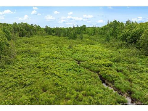 / Bronson Rd, Chipman, NB 