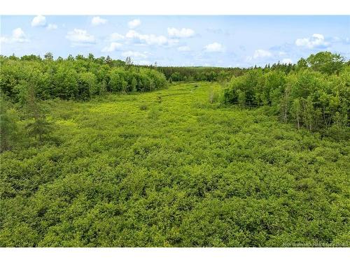 / Bronson Rd, Chipman, NB 