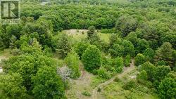 207 MIDDLE RIDGE ROAD  Brighton, ON K0K 1H0