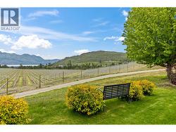 Vineyard Views - 