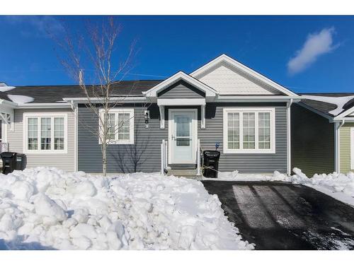 9 Triton Place  St. John’S, NL A1H 0L8