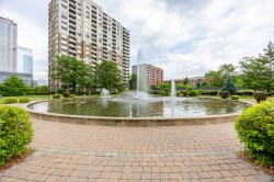Garden - 