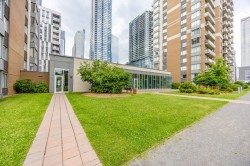 Garden - 