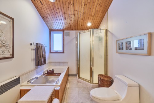 Salle de bains - 290 Rue De La Montagne, Entrelacs, QC - Indoor Photo Showing Bathroom