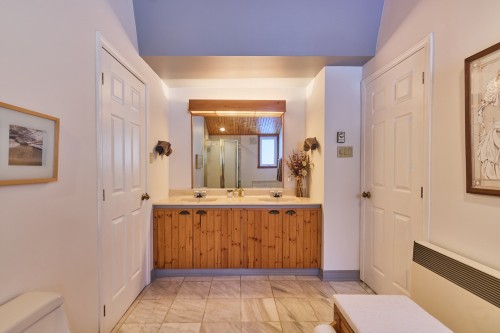 Salle de bains - 290 Rue De La Montagne, Entrelacs, QC - Indoor