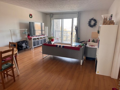 Living Room - 202-345 Place Trianon, Brossard, QC - Indoor