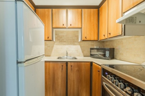 Kitchen - 108-3470 Rue Simpson, Montréal (Ville-Marie), QC - Indoor Photo Showing Kitchen