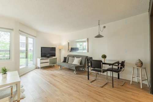 Living Room - 108-3470 Rue Simpson, Montréal (Ville-Marie), QC - Indoor Photo Showing Living Room