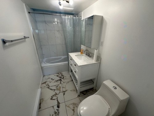 Bathroom - 830 Rue Radisson, Montréal (Lasalle), QC - Indoor Photo Showing Bathroom