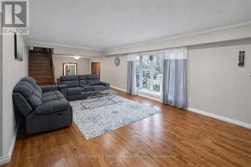 73 Owen Place, Hamilton, ON - Indoor Photo Showing Living Room