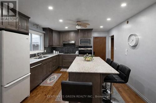 73 Owen Place, Hamilton, ON - Indoor Photo Showing Kitchen With Double Sink