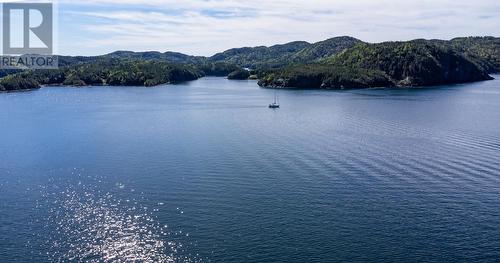 485 Main Street, Triton, NL - Outdoor With Body Of Water With View