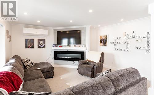 485 Main Street, Triton, NL - Indoor Photo Showing Living Room With Fireplace