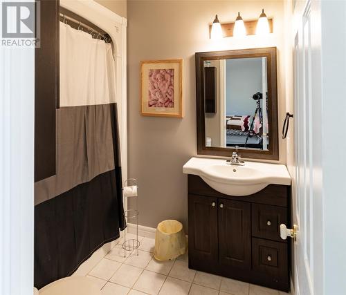 485 Main Street, Triton, NL - Indoor Photo Showing Bathroom