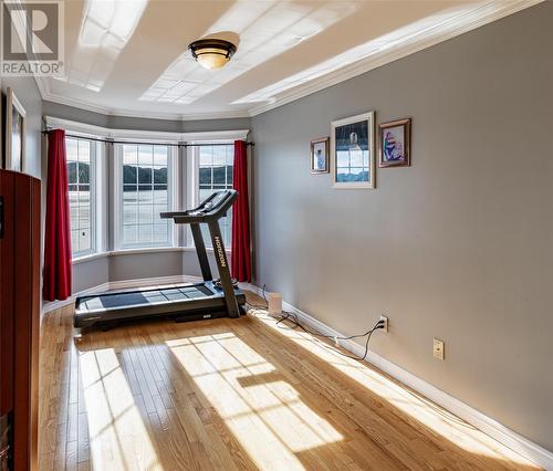 485 Main Street, Triton, NL - Indoor Photo Showing Gym Room