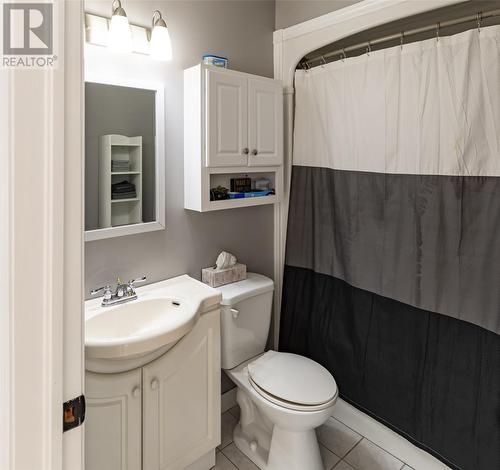 485 Main Street, Triton, NL - Indoor Photo Showing Bathroom