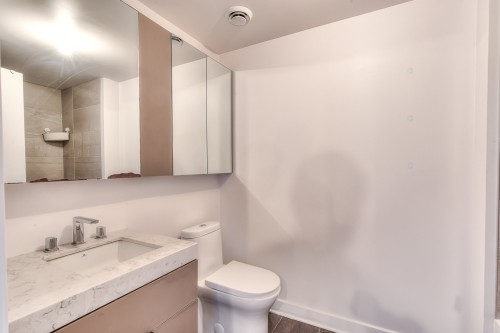 Bathroom - 760-101 Rue Peel, Montréal (Le Sud-Ouest), QC - Indoor Photo Showing Bathroom