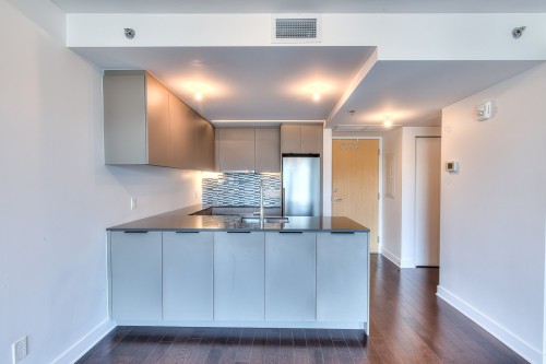 Kitchen - 760-101 Rue Peel, Montréal (Le Sud-Ouest), QC - Indoor Photo Showing Kitchen
