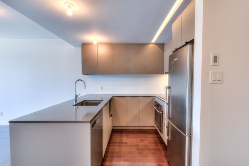 Kitchen - 760-101 Rue Peel, Montréal (Le Sud-Ouest), QC - Indoor Photo Showing Kitchen With Upgraded Kitchen