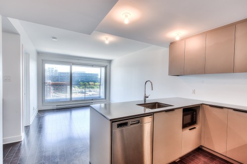 Interior - 760-101 Rue Peel, Montréal (Le Sud-Ouest), QC - Indoor Photo Showing Kitchen