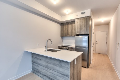 Cuisine - 610-1485 Rue Des Bassins, Montréal (Le Sud-Ouest), QC - Indoor Photo Showing Kitchen