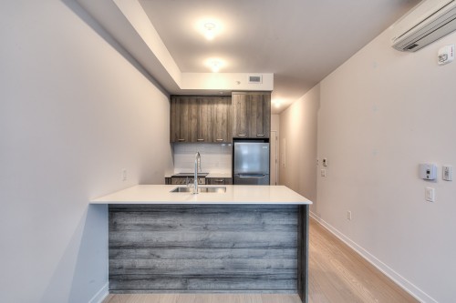 Cuisine - 610-1485 Rue Des Bassins, Montréal (Le Sud-Ouest), QC - Indoor Photo Showing Kitchen With Double Sink