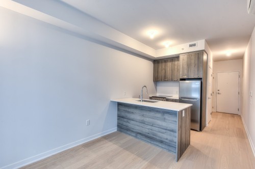 Salon - 610-1485 Rue Des Bassins, Montréal (Le Sud-Ouest), QC - Indoor Photo Showing Kitchen