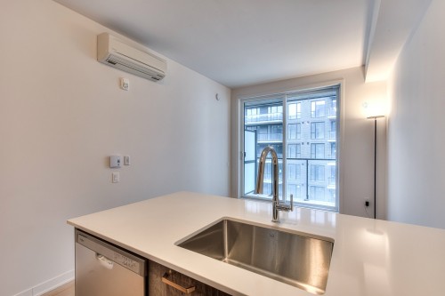 Intérieur - 610-1485 Rue Des Bassins, Montréal (Le Sud-Ouest), QC - Indoor Photo Showing Kitchen