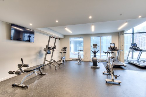 Salle d'exercice - 610-1485 Rue Des Bassins, Montréal (Le Sud-Ouest), QC - Indoor Photo Showing Gym Room