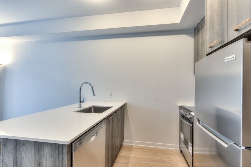 Cuisine - 610-1485 Rue Des Bassins, Montréal (Le Sud-Ouest), QC - Indoor Photo Showing Kitchen