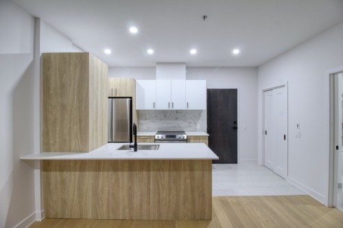 Kitchen - 409-2030 Rue Lucien-Thimens, Montréal (Saint-Laurent), QC - Indoor Photo Showing Kitchen