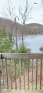 Balcony - 